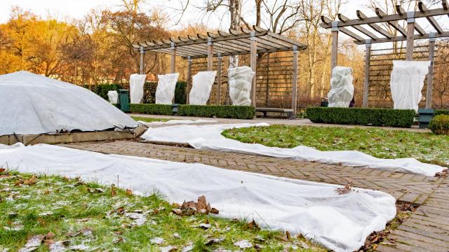 What You Need to Do Now to Prep Your Garden for Winter