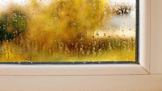 How to Find the Ideal Humidity Level for Your Home (and Why It Matters)