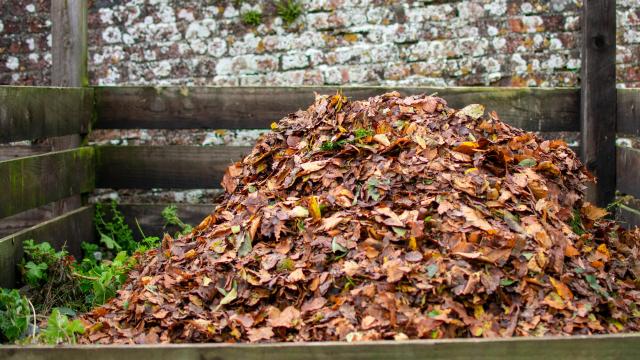 How to Start Composting Leaves (and Why You Should)