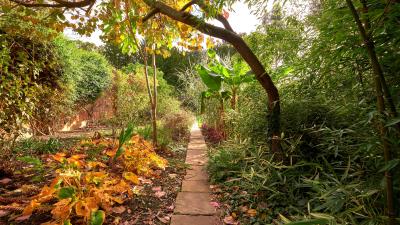 Leave Your Autumn Garden Alone