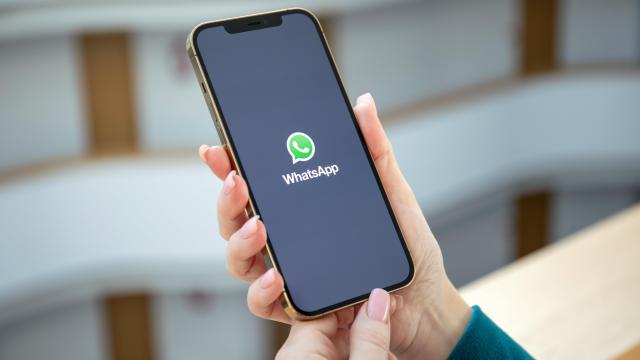 You Really Do Need to Update WhatsApp Right Now
