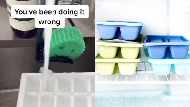 I’ve Been Filling My Ice Cube Tray Wrong My Entire Life
