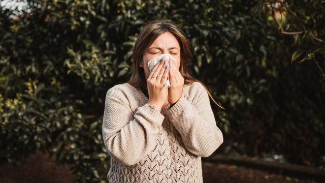 Sick of Sneezing? Here’s What to Know About Allergen Immunotherapy for Hay Fever