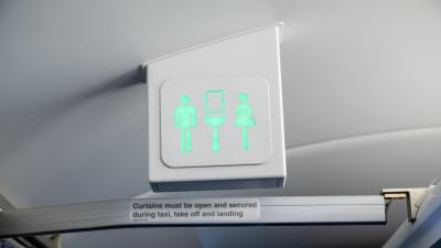 There Is a Secret to Aeroplane Bathroom Bins