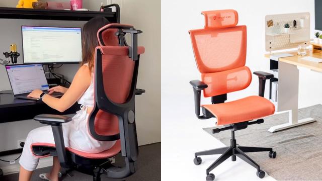 The TikTok-Hyped Ergotune Desk Chair Has Dropped to Its Lowest Price Ever