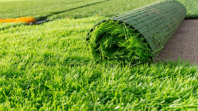 You Should Switch to Synthetic Grass