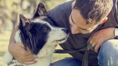 How You ‘Parent’ Your Dog Matters, Actually