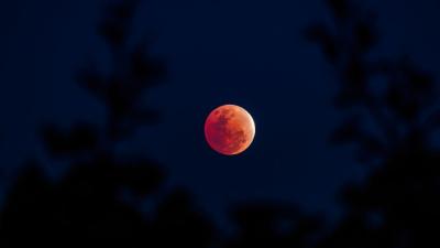 Ask LH: How Can I See Tomorrow’s Lunar Eclipse?