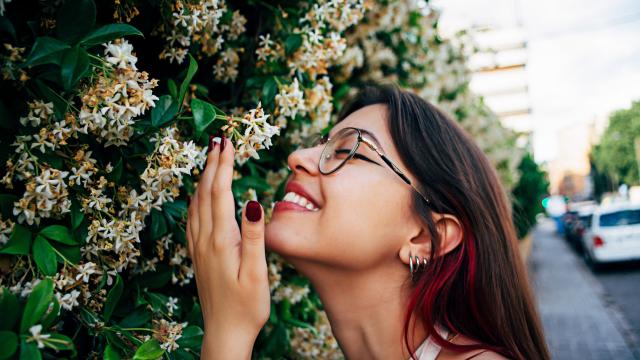 Could Your Sense of Smell Lead You to True Love?