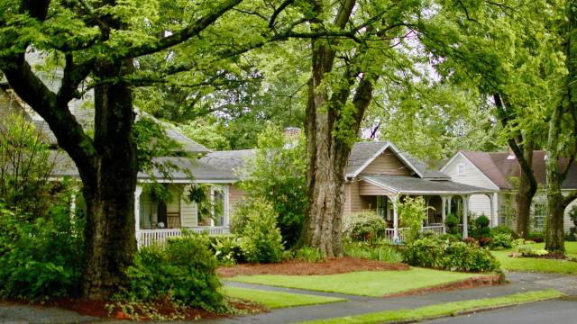 Consider These Tree Maintenance Costs Before Buying a New House