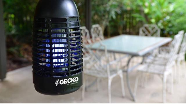 The 5 Best Bug Zappers if You’re Sick of Being Sucked Dry by Mosquitos