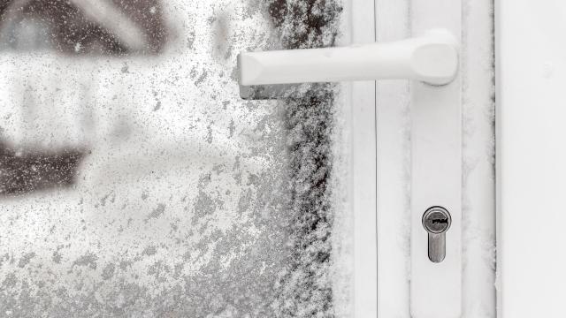 Why Your House Really Does Need a Storm Door