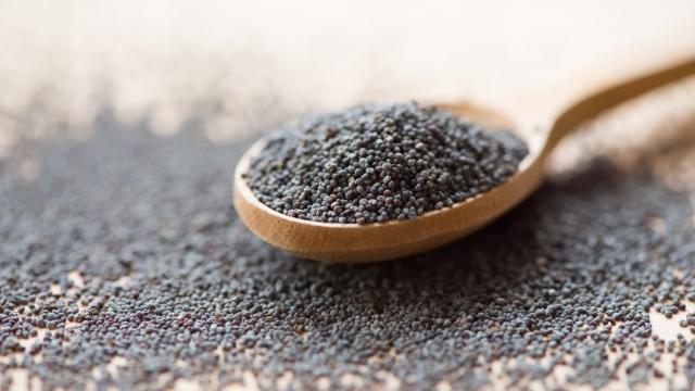 There’s a Nationwide Poppy Seed Recall: Here’s What You Need to Know About It