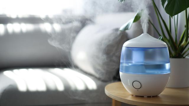 Never Put Essential Oils in Your Humidifier Water (but Do This Instead)