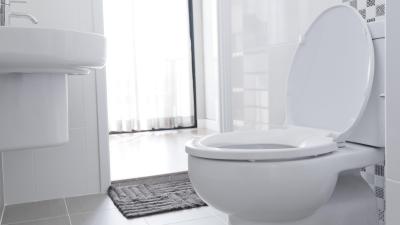 Fix Your Own Wobbly Toilet Seat