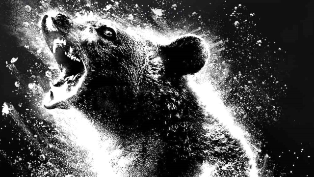 18 Movies to Snort Before ‘Cocaine Bear’