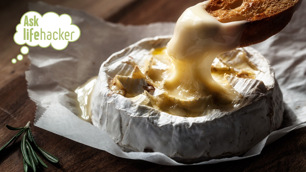 brie or camembert cheese