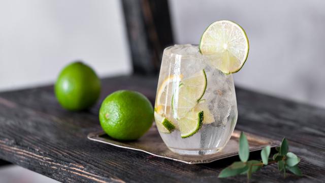 10 Simple Gin Cocktail Recipes That Will Get You Through Summer