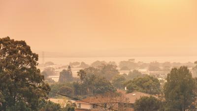 How to Protect Yourself Against Bushfire Smoke This Summer