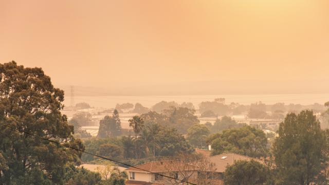 How to Protect Yourself Against Bushfire Smoke This Summer