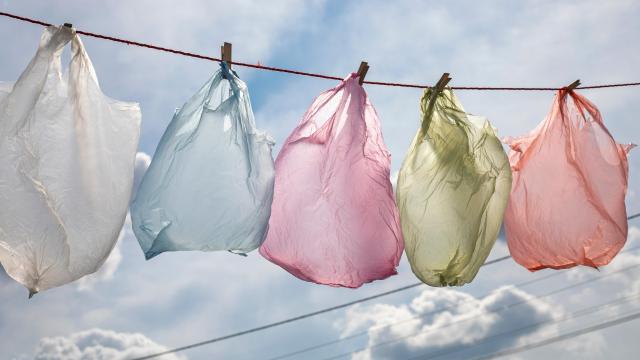 The Right Way to Clean and Reuse ‘Single-Use’ Plastic Bags