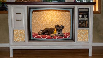 How to Turn an Old TV Into Something Cool