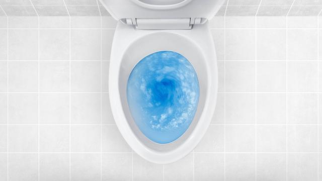 Ignore TikTok and Stop Putting Cleaning Liquid in Your Toilet Tank
