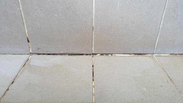 Don’t Use This New TikTok ‘Hack’ to Clean Your Grout