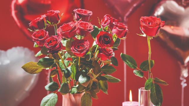 ALDI Is Slinging Red Roses From $8 This Valentine’s Day
