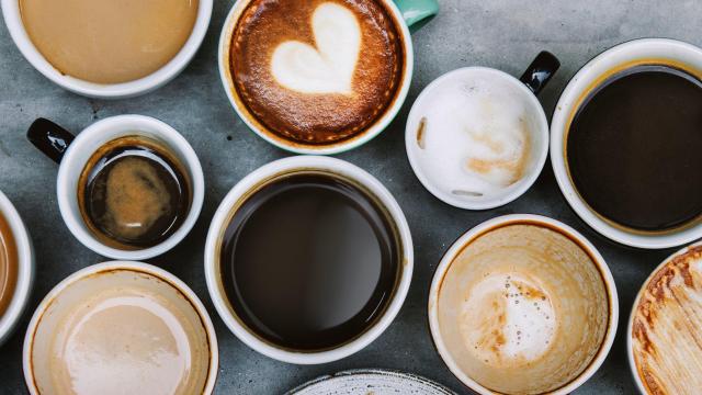 Blue Algae Latte, Golden Milk, and 10 More Coffee Alternatives You Will Love or Hate