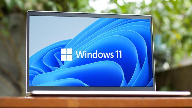 11 New Windows 11 Features You Need to Know About