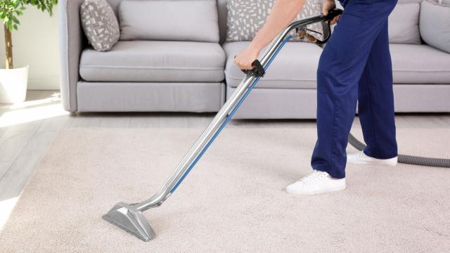 When (and How) to Disinfect Your Carpet