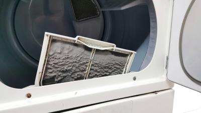 Three Surprisingly Practical Uses for Dryer Lint
