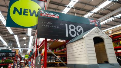 Bunnings Has a New Pet Range in Store, Here’s a Quick Look at What It Offers