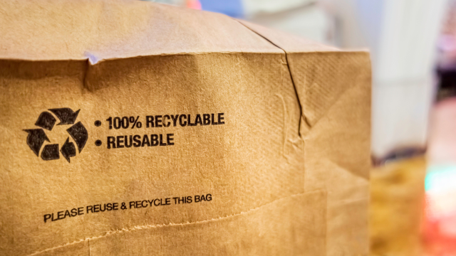 Here Are Some Tips To Help Everyone In Your Household to Recycle Properly