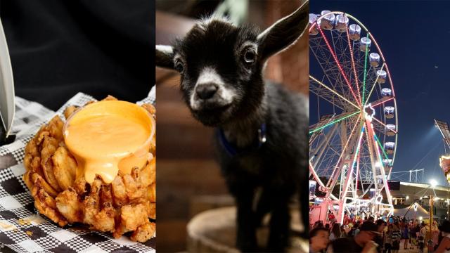From Neon Hot Dogs to Bluey Showbags, Here Are the Highlights of the 2023 Royal Easter Show