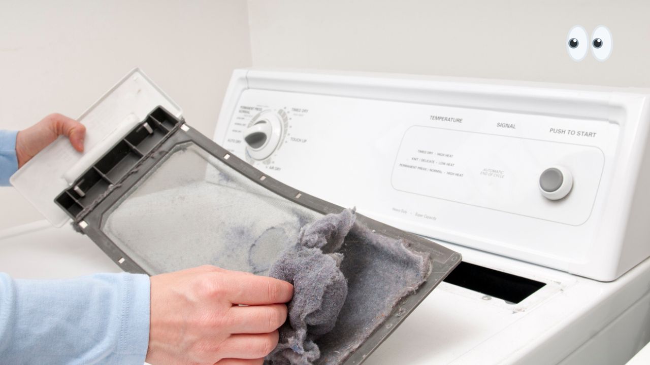3 Surprisingly Practical Uses for Dryer Lint