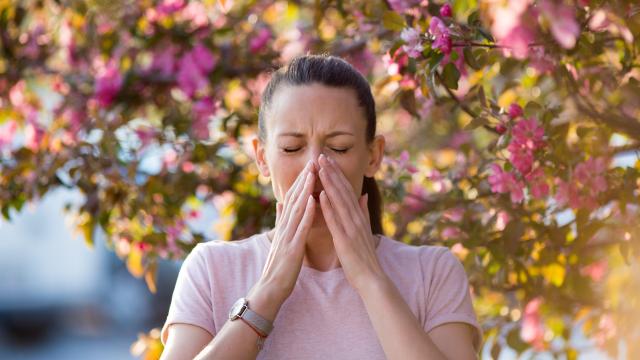 It’s Time to Start Taking Your Spring Allergies Seriously
