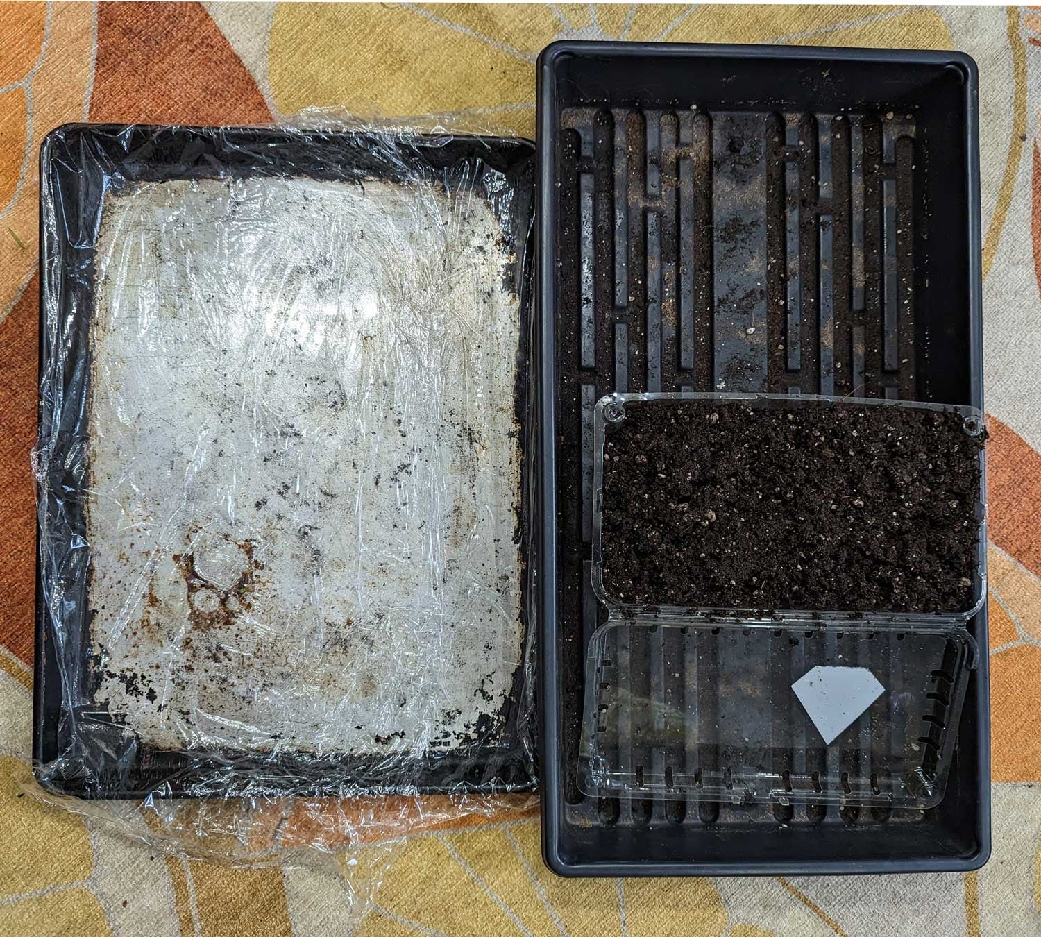 On the right is a 1020 tray, without holes. On the left is one of my older gross cookie sheets, covered in plastic wrap. Both are fine. (Photo: Amanda Blum)