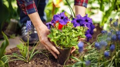 Rearrange Your Garden by Using ‘Hidden’ Pots
