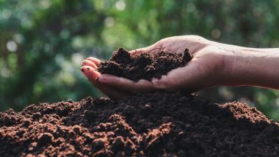 The Difference Between Soil and Dirt