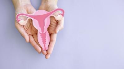 Exploring the Link Between Endometriosis and the Immune System Could Lead to Better Treatment