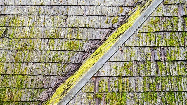 You Can Get Rid of Mould on Your Roof (and Stop It From Coming Back)