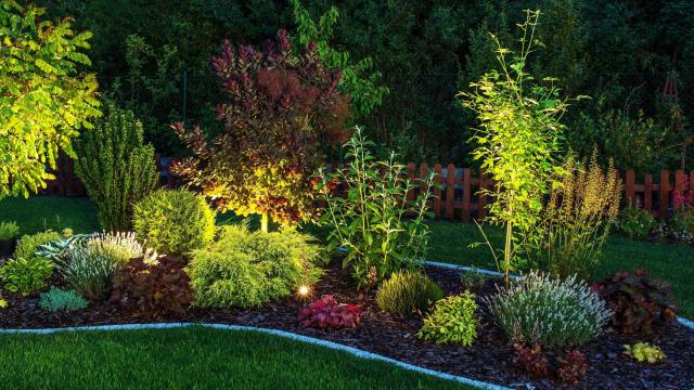 Use Cheap LED and Solar Lights for Pro-Quality Landscape Lighting