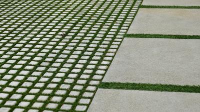 Why You Might Actually Want a Grass Driveway