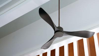 You Really Need to Clean Your Ceiling Fan, Like Now