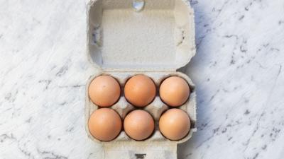 Please Stop Storing Your Eggs on the Kitchen Bench