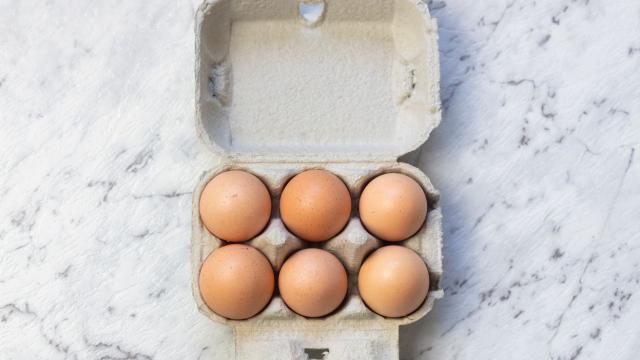 Please Stop Storing Your Eggs on the Kitchen Bench