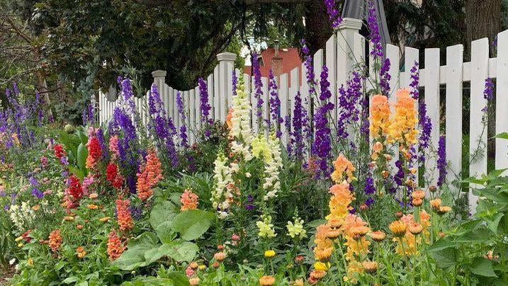 You Can Build a Stunning Flower Wall for Your Home