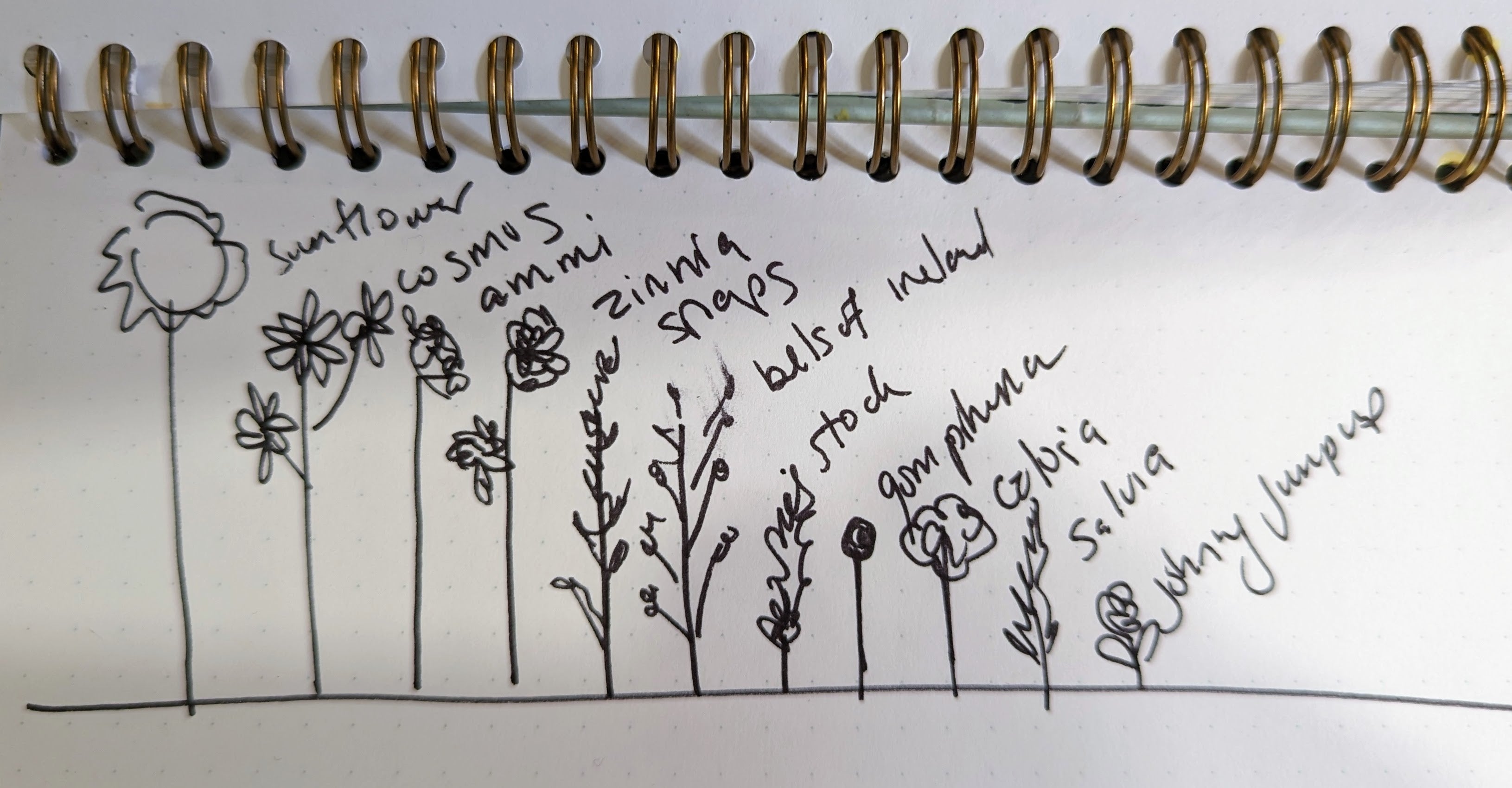 A simple plan to lay out flowers by height (Illustration: Amanda Blum)